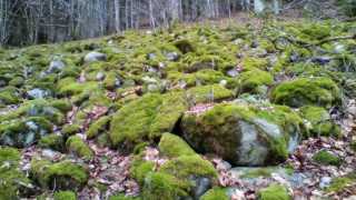 IMG_20190107_143805.jpg
