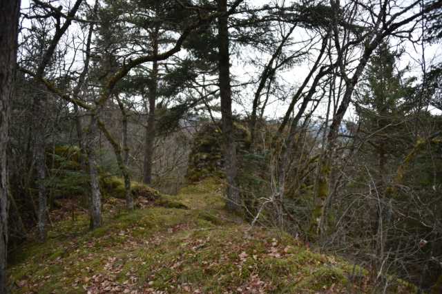 DSC_6341.JPG