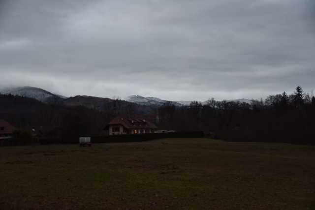 DSC_6347.JPG