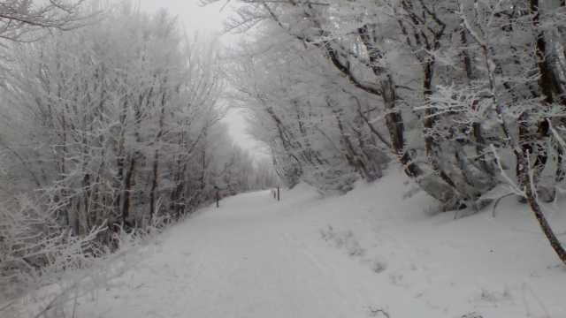 IMG_20190107_130937.jpg