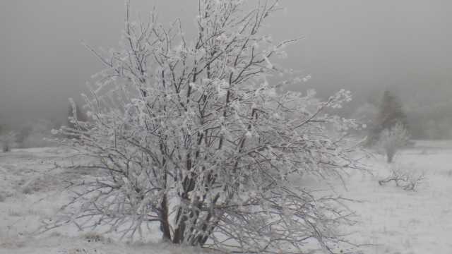 IMG_20190107_131251.jpg