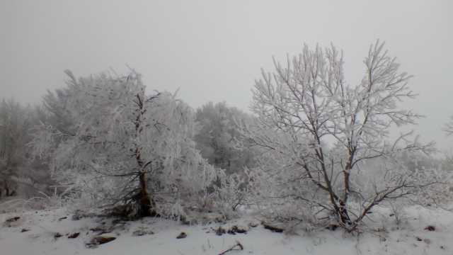 IMG_20190107_131639.jpg