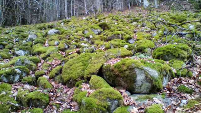 IMG_20190107_143805.jpg