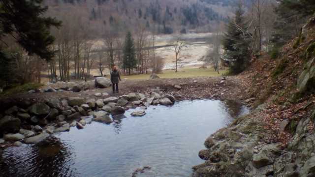 IMG_20190107_151910.jpg