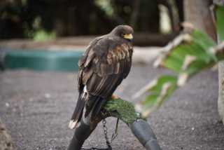 DSC_6668.JPG