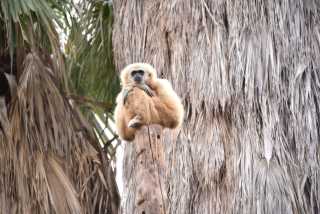 DSC_6688.JPG