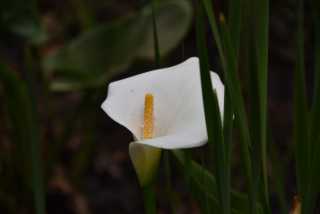 DSC_6700.JPG
