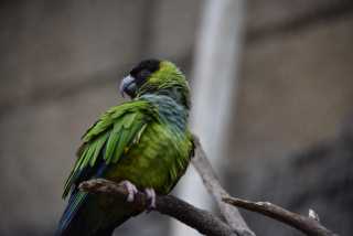 DSC_6706.JPG