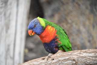 DSC_6720.JPG