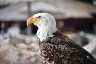 DSC_6945.JPG