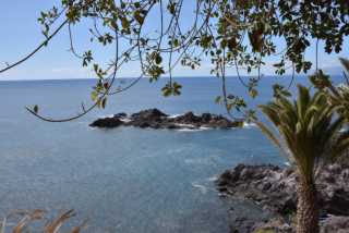 DSC_7093.JPG