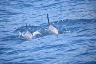 DSC_7269.JPG