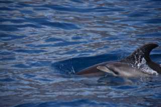 DSC_7277.JPG