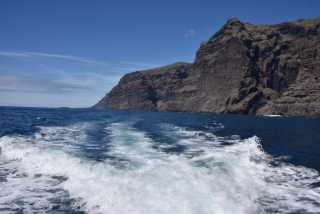 DSC_7435.JPG