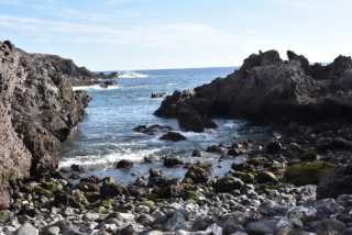 DSC_7453.JPG