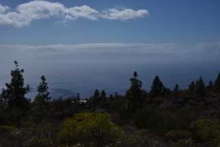 DSC_7550.JPG