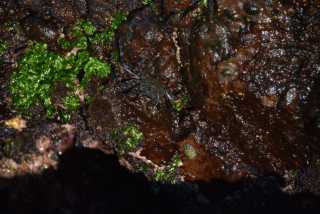 DSC_7634.JPG