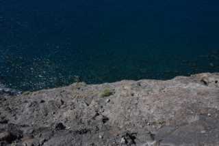 DSC_7708.JPG
