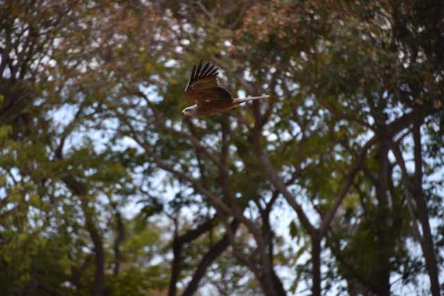 DSC_6641.JPG