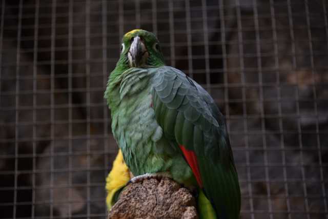DSC_6701.JPG