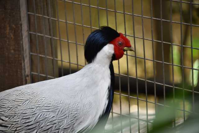 DSC_6702.JPG