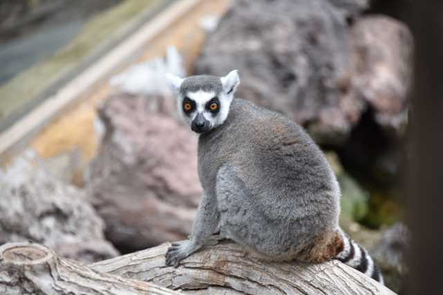 DSC_6783.JPG