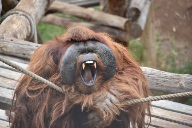 DSC_6843.JPG