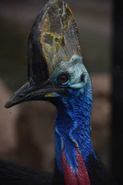 DSC_6857.JPG