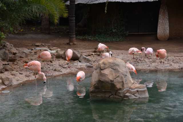 DSC_6871.JPG