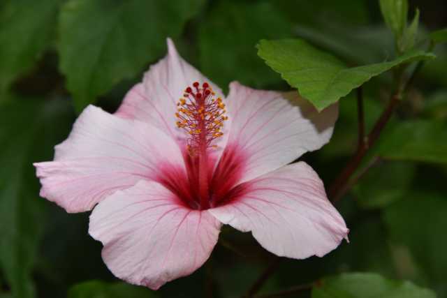 DSC_6889.JPG