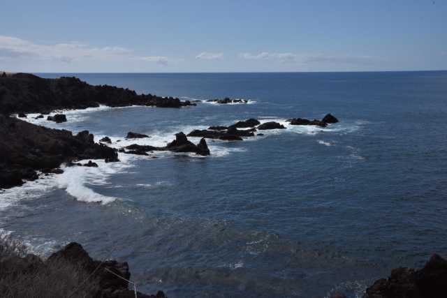DSC_7082.JPG