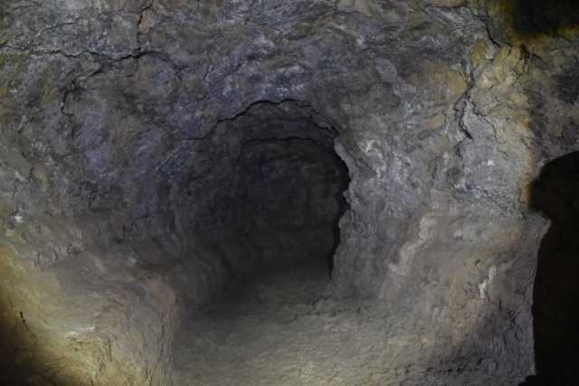 DSC_7118.JPG