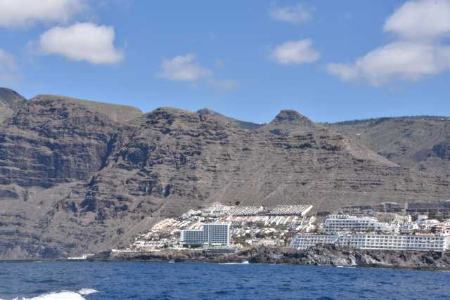 DSC_7228.JPG