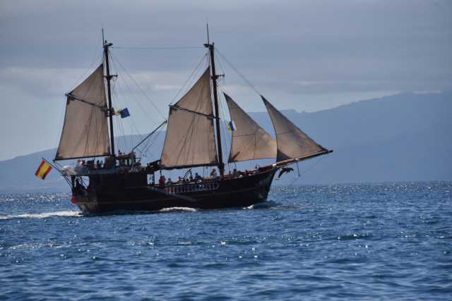 DSC_7448.JPG