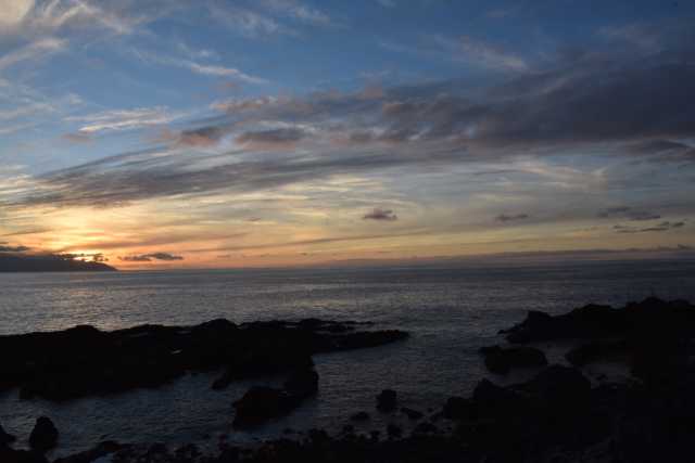 DSC_7481.JPG
