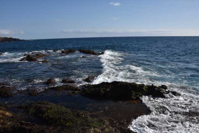 DSC_7615.JPG