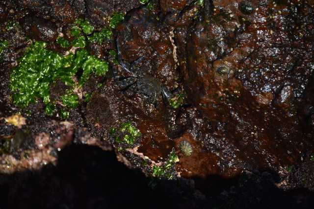 DSC_7634.JPG