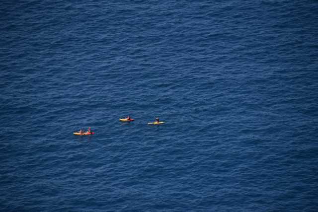 DSC_7703.JPG