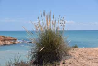 DSC_7837.JPG
