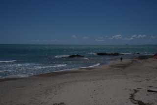 DSC_7845.JPG
