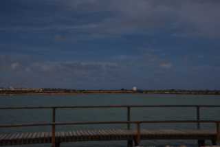 DSC_7866.JPG
