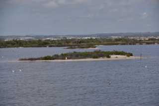 DSC_7868.JPG