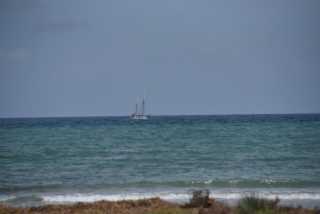 DSC_7877.JPG