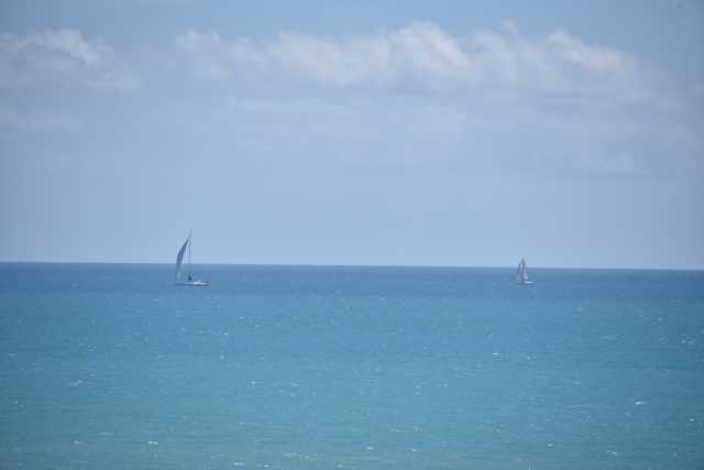 DSC_7840.JPG