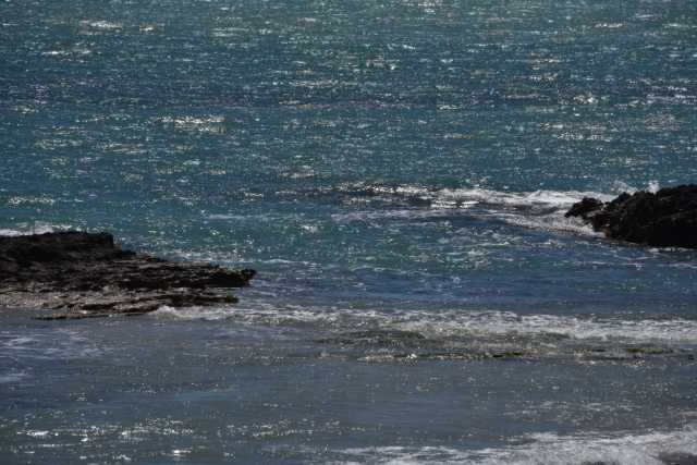 DSC_7851.JPG