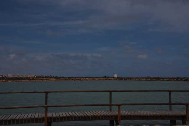 DSC_7866.JPG