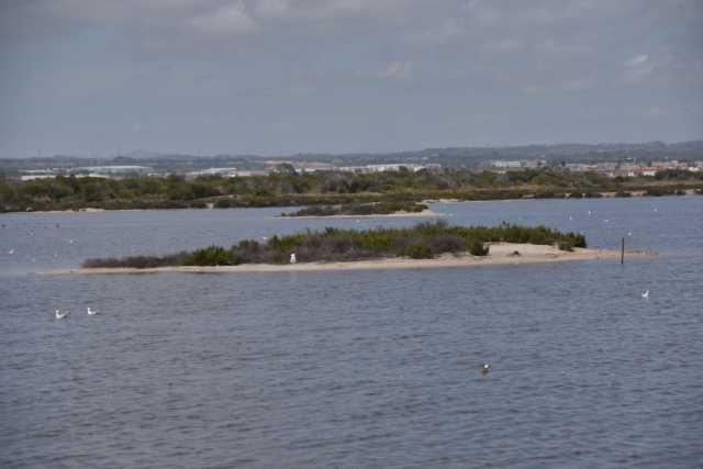 DSC_7868.JPG