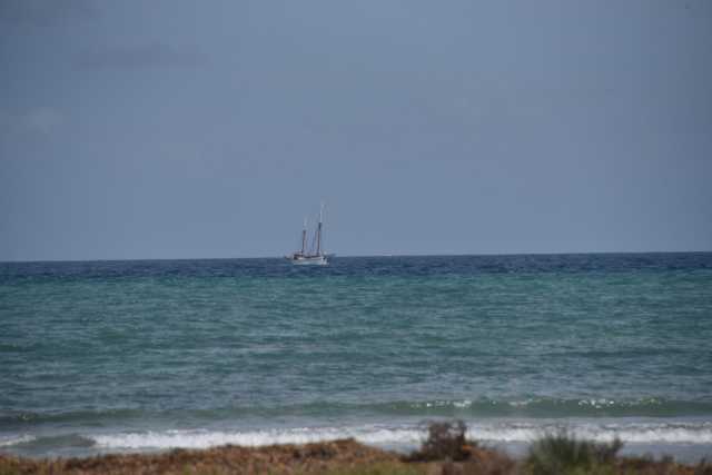 DSC_7877.JPG