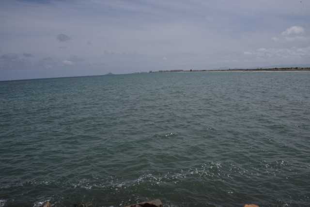 DSC_7883.JPG