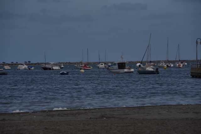 DSC_7887.JPG